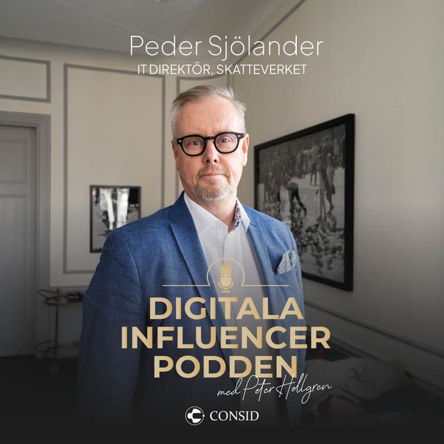 262. Effektiva IT-lösningar inom offentlig sektor | Peder Sjölander, IT-direktör Skatteverket | Affärsbehov - podcast episode cover