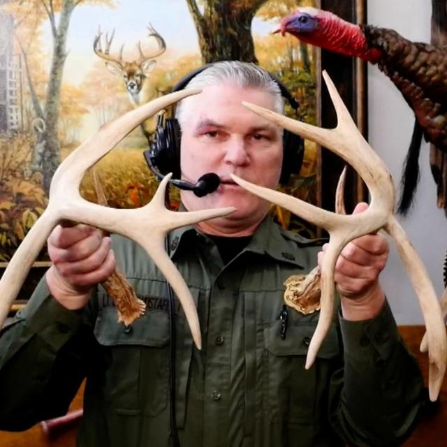 TW 332 - The Off-Season Hunt - podcast episode cover
