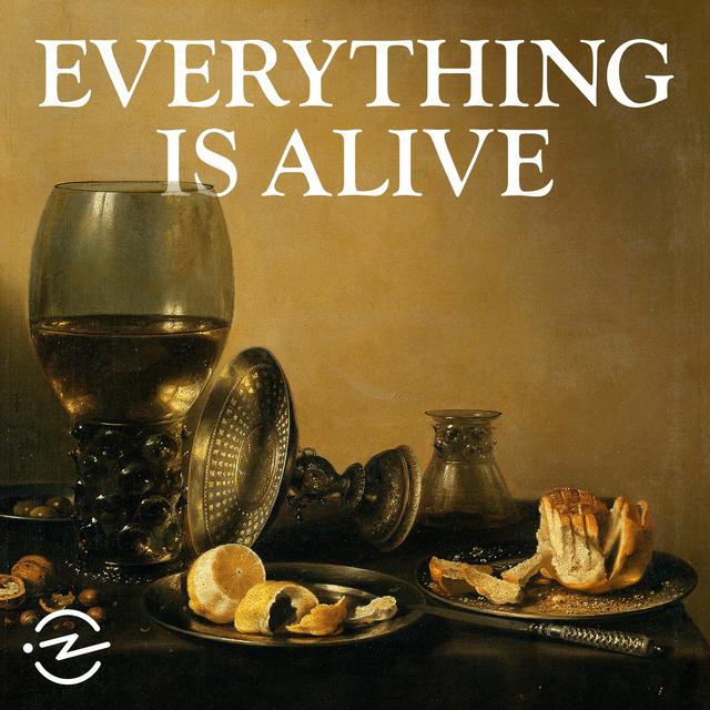 Connor by Everything Is Alive - podcast episode cover