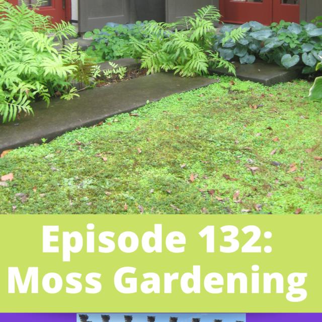 Moss Gardening - podcast episode cover