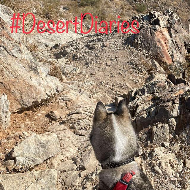 More mountains climbed. - podcast episode cover