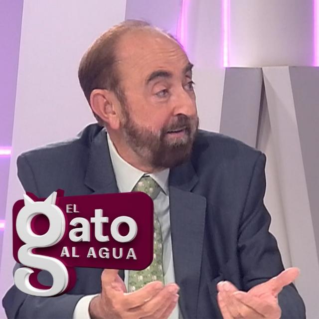 El Gato al Agua | 29/11/24 - podcast episode cover