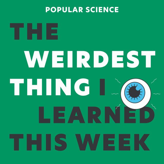 Radioactive Horses, Sipping on Pee, Sleeping With One Eye Open - podcast episode cover