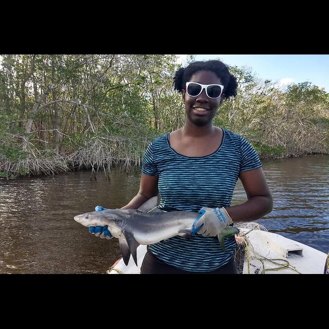 Breaking Barriers in Shark Science w/Jasmin Graham - podcast episode cover