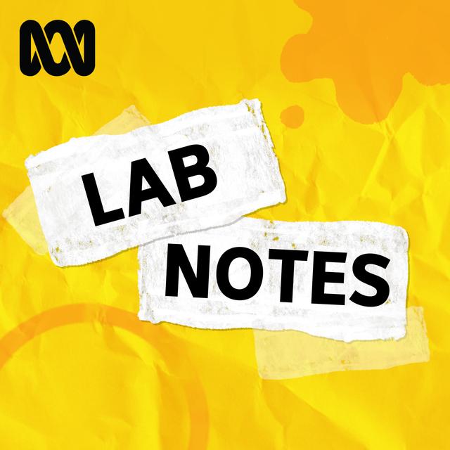 Lab Notes: Why a metre is a metre long - podcast episode cover
