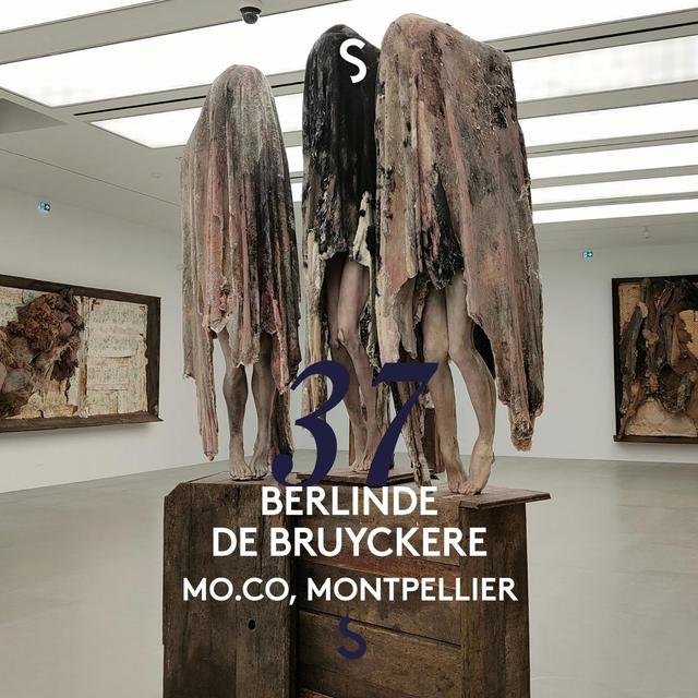 Berlinde de Bruyckere au MO.CO - podcast episode cover