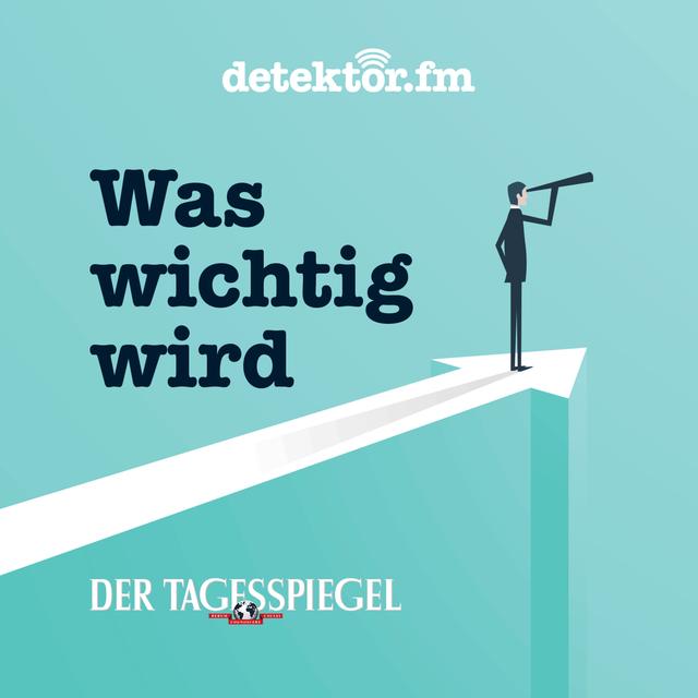 Die Bundeswehr läuft auf Reserve - podcast episode cover