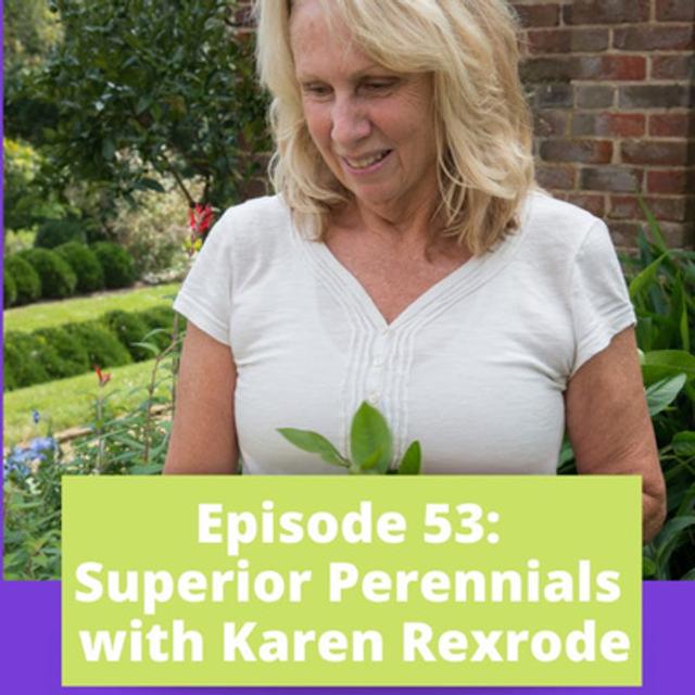 Superior Perennials with Karen Rexrode - podcast episode cover