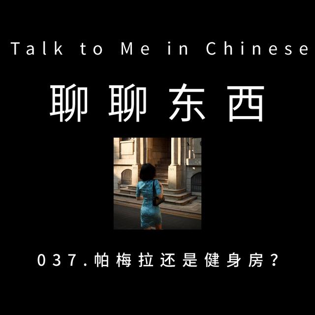 037. Pamela Reif or Gym? 帕梅拉还是健身房? - ttmiChinese - podcast episode cover