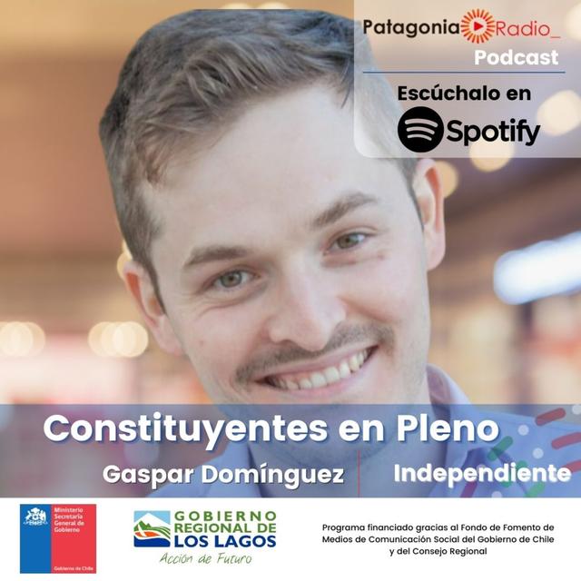 Constituyentes en Pleno: Gaspar Domínguez - Independiente No Neutrales - podcast episode cover