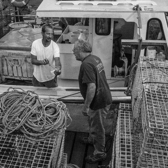 Working Waterfront Part 1: The Perfect Port - podcast episode cover