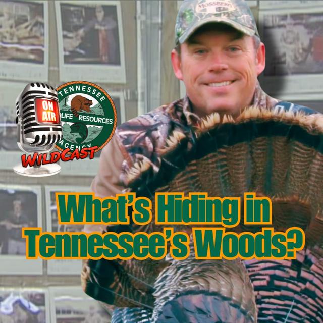 TW 435 - What’s Hiding in Tennessee’s Woods? Jason Cruise Knows! - podcast episode cover