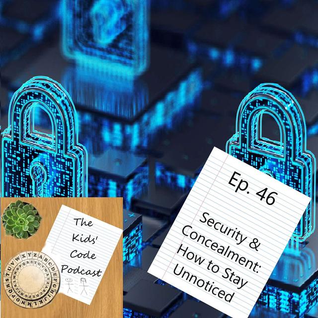46. Security & Concealment: How to Stay Unnoticed - podcast episode cover