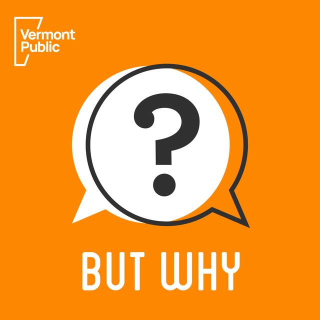 What makes you happy? - podcast episode cover