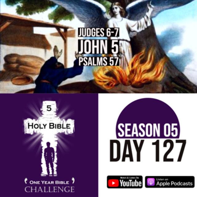 Day 127: The young Gideon is chosen to lead the Israelites in battle | Jesus teaches on Judgment and God's Will - podcast episode cover