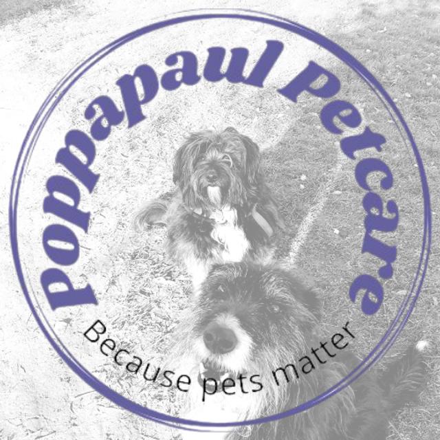 Episode 207 - How to Switch Careers and Start a Successful Pet Care Business with Poppa Paul Smith - podcast episode cover