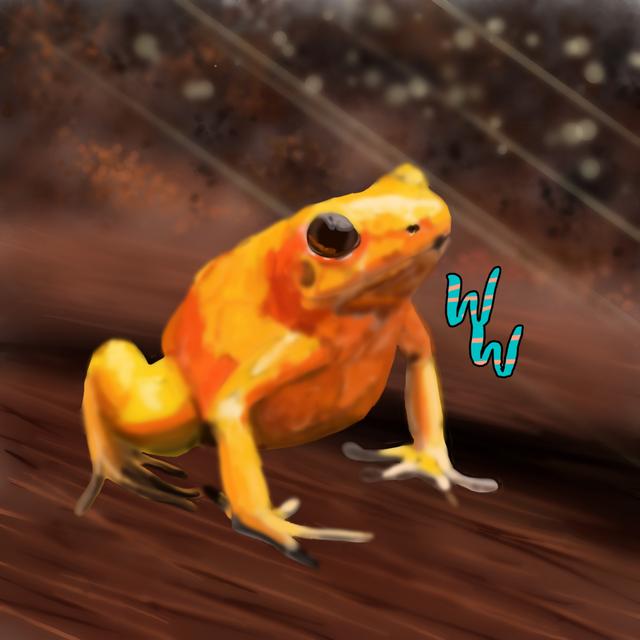 Golden Poison Frog - podcast episode cover