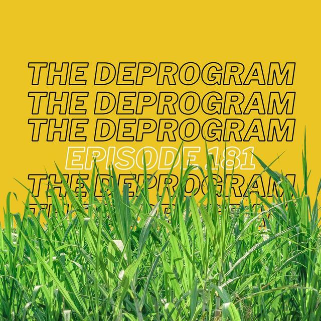 Episode 181 - Touch Grass - podcast episode cover