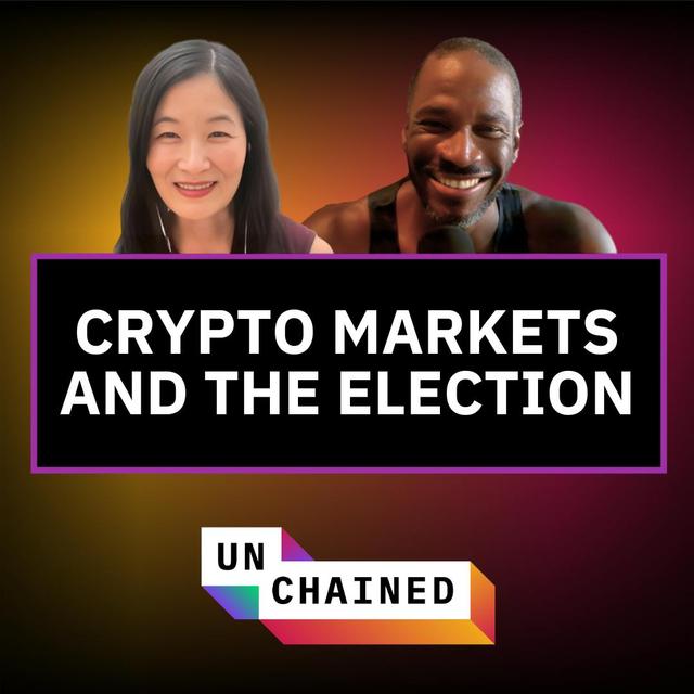 How Arthur Hayes Has Prepared His Portfolio for the Elections - Ep. 728 - podcast episode cover