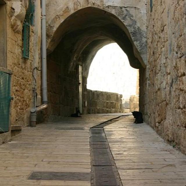 Israel in the Next 20 Years + War News - The Tamar Yonah Show - podcast episode cover