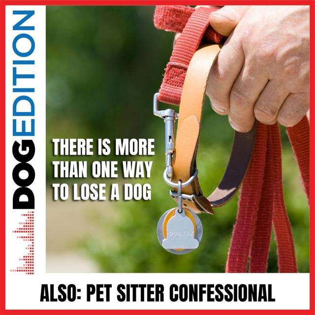 There Is More Than One Way To Lose A Dog | Pet Sitter Confessional | Dog Edition #32 - podcast episode cover