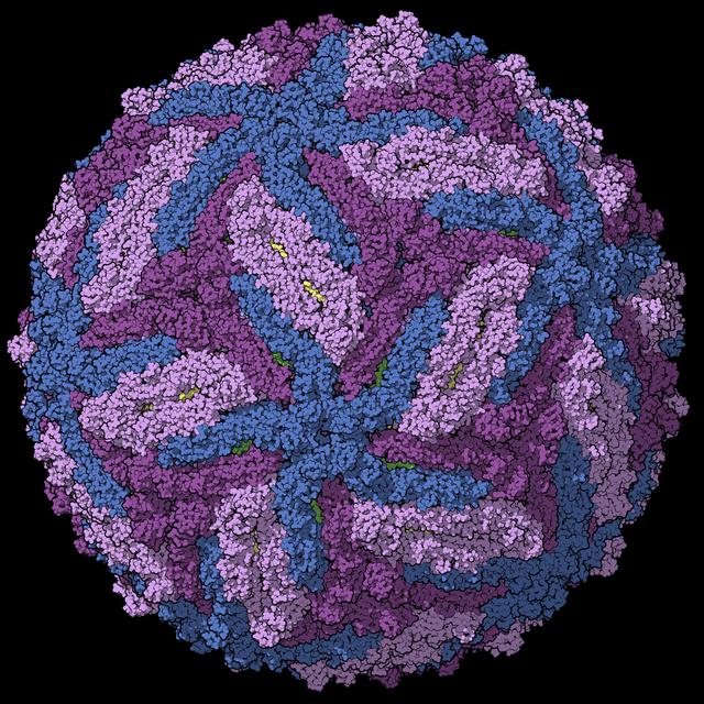 Episodio 15: Zika transmitido sexualmente - podcast episode cover