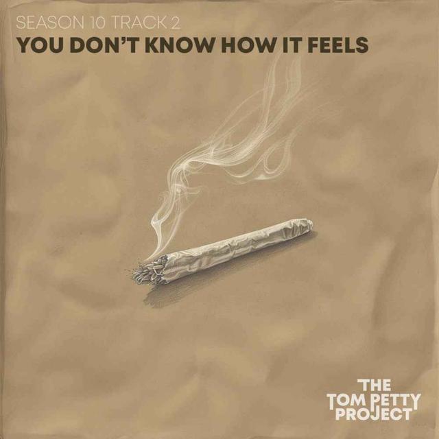 You Don't Know How It Feels - podcast episode cover