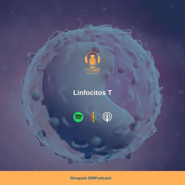 Linfocitos T - podcast episode cover