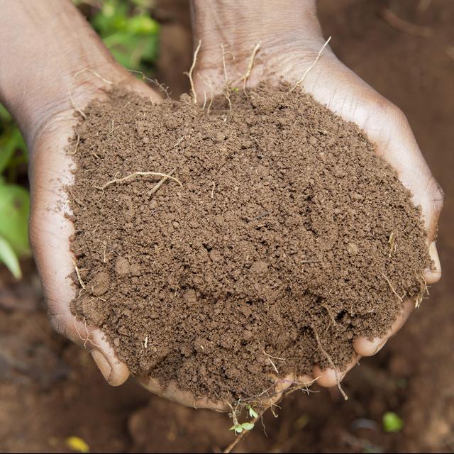 Don't Call It Dirt: The Science Of Soil - podcast episode cover