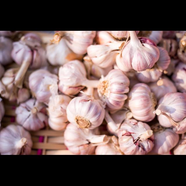Episode 18- Grow your own Garlic and say goodbye to Vampires 🧛‍♀️ - podcast episode cover