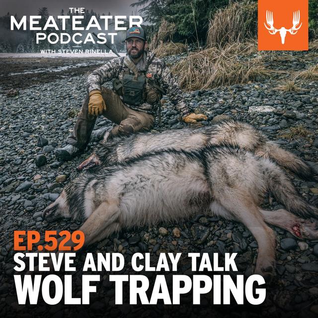 Ep: 529: BONUS DROP - Steve and Clay Talk Alaska Wolf Trapping - podcast episode cover