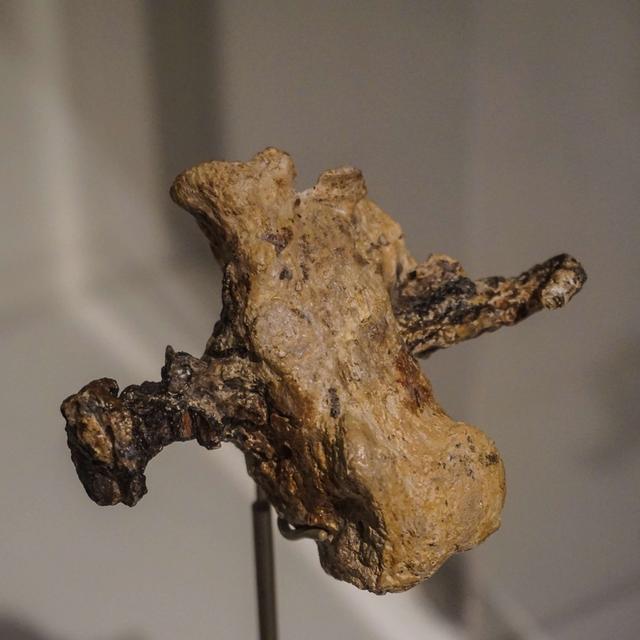 The Cross, Archaeology, and Orthodox Hymns - podcast episode cover