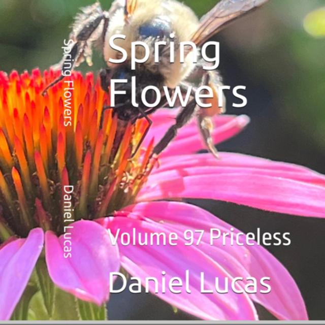 Spring Flowers Volume 96 Priceless by Daniel Lucas - podcast episode cover