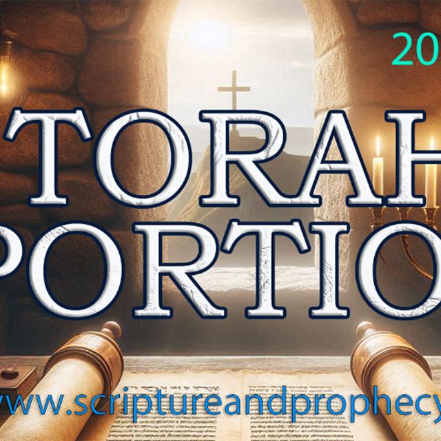 Torah Portion Week 8 - Vayishlach-  Jacob Wrestles With God (2024-2025) - podcast episode cover
