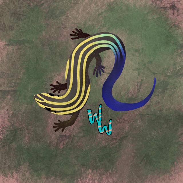 Five Lined Skink - podcast episode cover