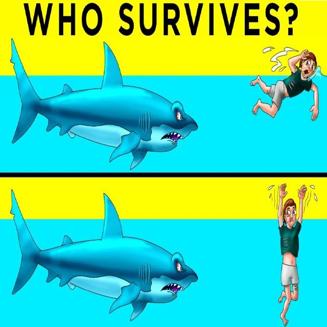 Animal Attack Riddles That Could Save Your Life - podcast episode cover
