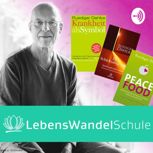 #228: Wie schaffe ich mir eine Meditationsroutine? - podcast episode cover