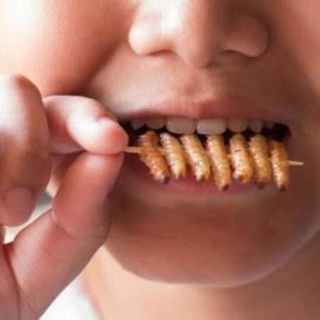 Worms and other alternative meat products - podcast episode cover