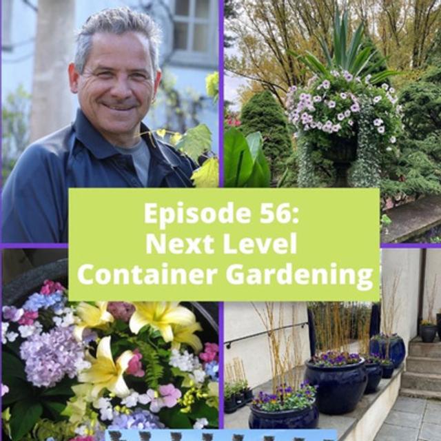 Next Level Container Gardening - podcast episode cover