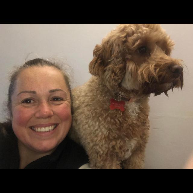 Episode 210 - How to Change Careers and Launch a Premium Dog Walking and Boarding Business, with Sara Barnes. - podcast episode cover
