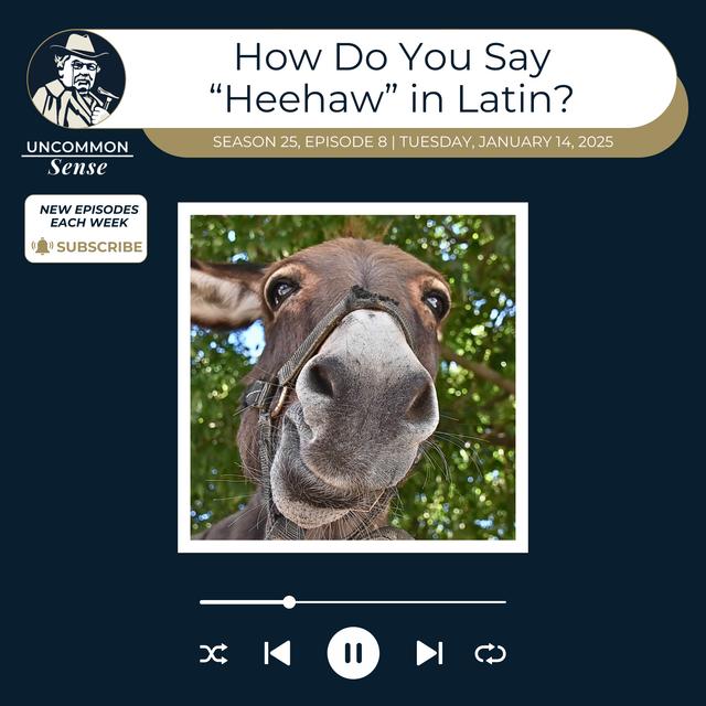 How Do You Say "Heehaw" in Latin? - podcast episode cover