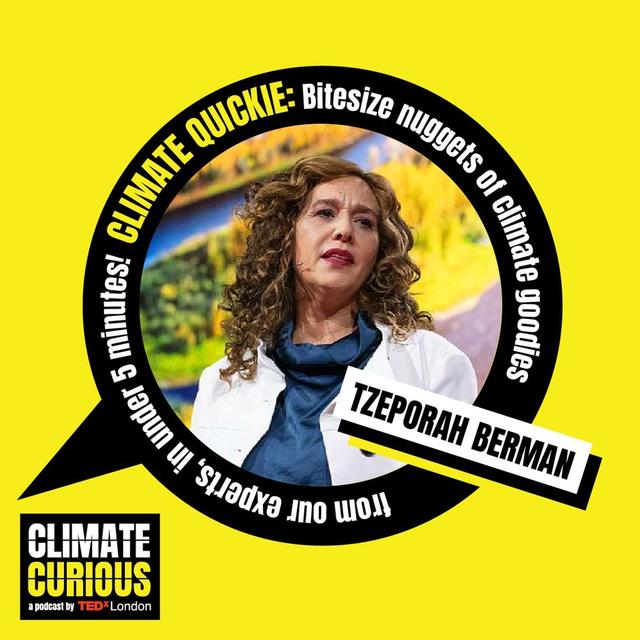 Climate Quickie: How the tide turned on fossil fuels - podcast episode cover