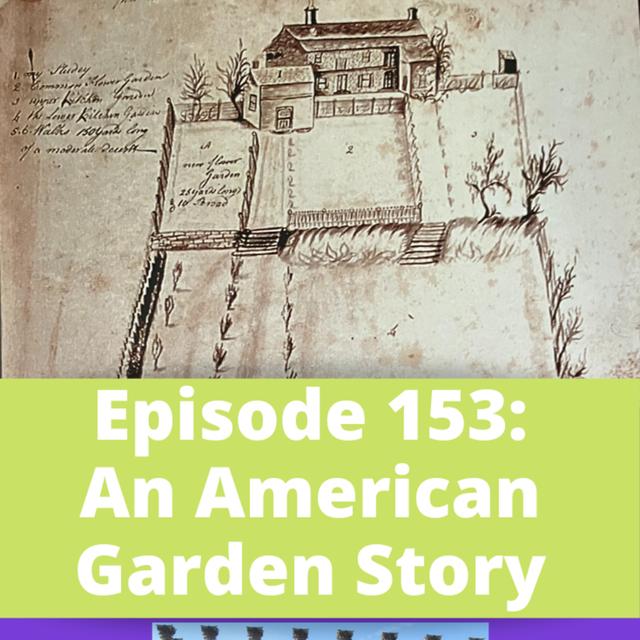 An American Garden Story - podcast episode cover