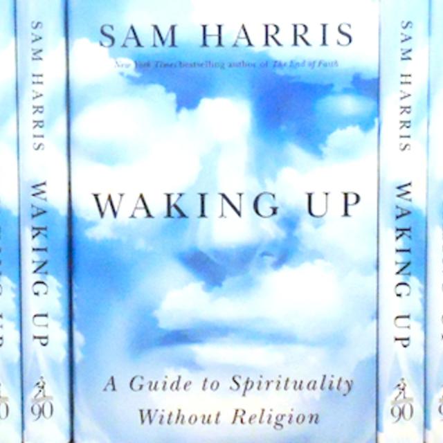 #3 — WAKING UP — Chapter One - podcast episode cover