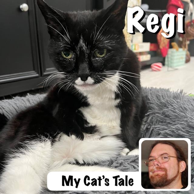 My Cat’s Tale – Regi, the Queen of Queens - podcast episode cover