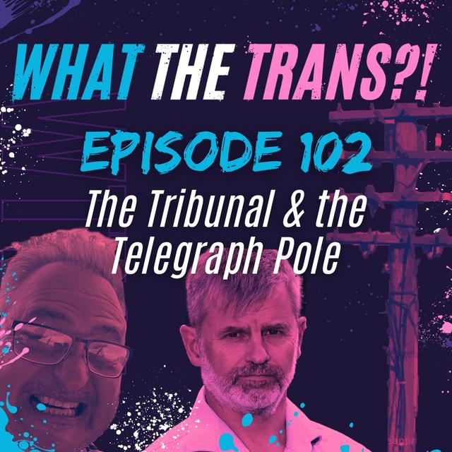 EP102 - The Tribunal & the Telegraph Pole - podcast episode cover