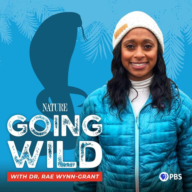 Near-Death Experiences in the Field - podcast episode cover