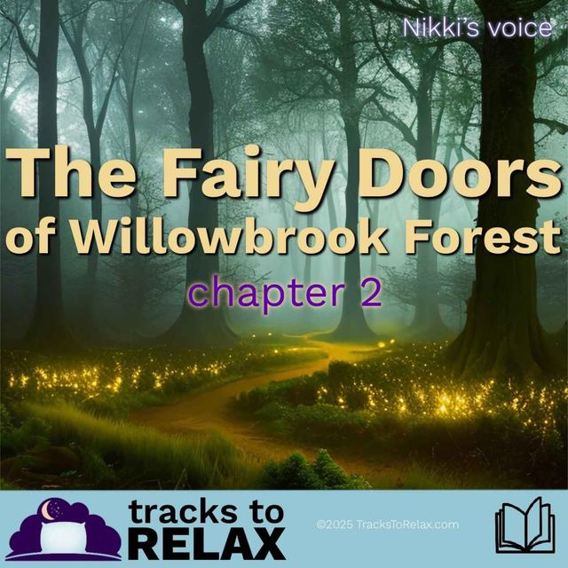 Fiairy Doors Chapter 2 (Nikki's Voice) - podcast episode cover