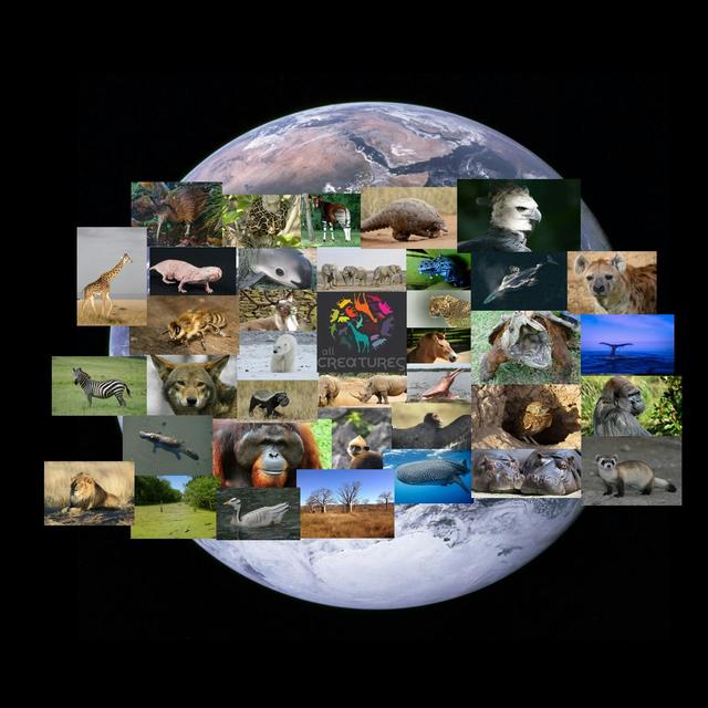 Episode 80: Zoos Matter, Aquariums Matter, Animal Education Matters w/ Corbin Maxey - podcast episode cover