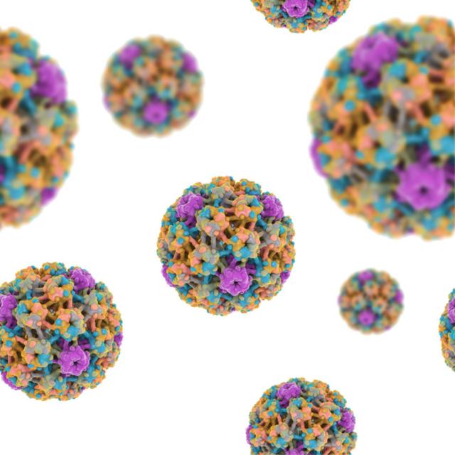 HPV, epigenetics and cancer: sequencing for new insights and to correct healthcare inequality - podcast episode cover